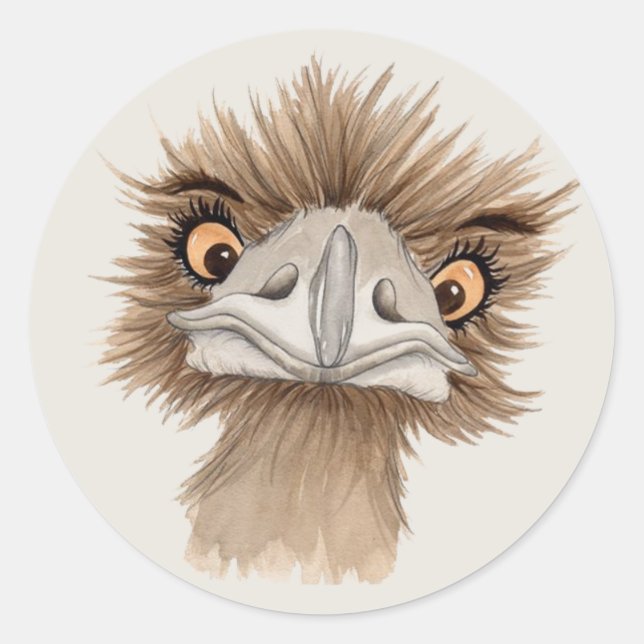 Funny Face Emu Cartoon Classic Round Sticker (Front)
