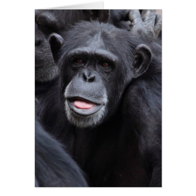 Funny Face Making (Front)