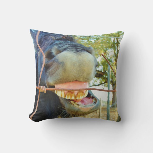 Funny face miniature horse cushion (Front)