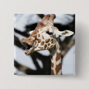 Funny faced reticulated giraffe, San Francisco 15 Cm Square Badge