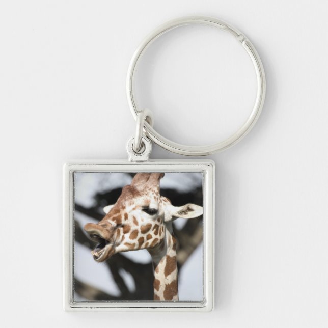 Funny faced reticulated giraffe, San Francisco Key Ring (Front)