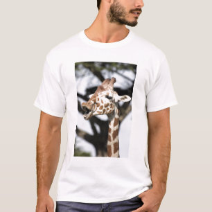 Funny faced reticulated giraffe, San Francisco T-Shirt