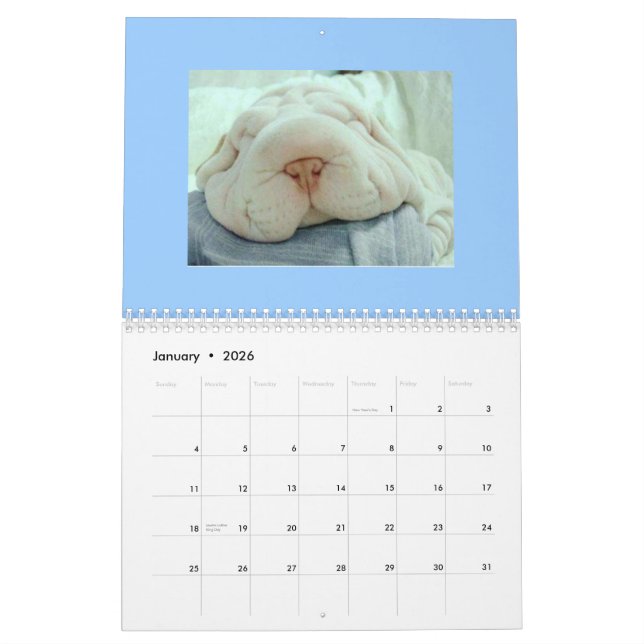 Funny Faces Calendar (Jan 2026)