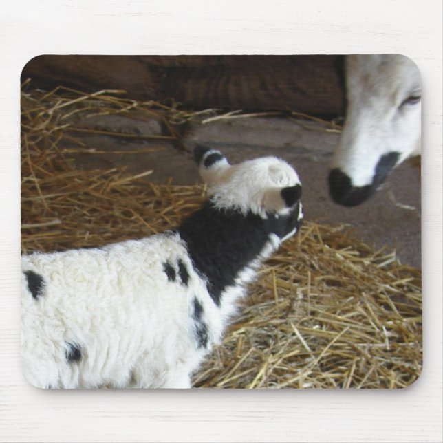 Funny Face's Lamb Mouse Pad (Front)