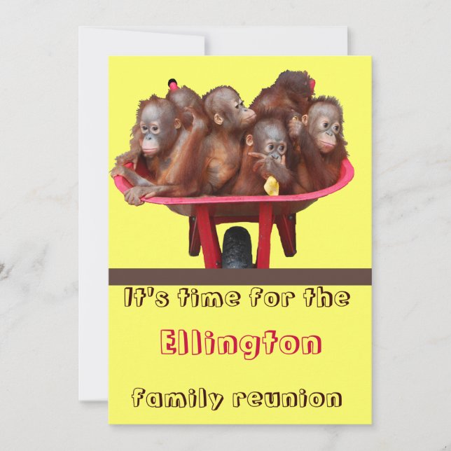 Funny Family Reunion Invitation (Front)
