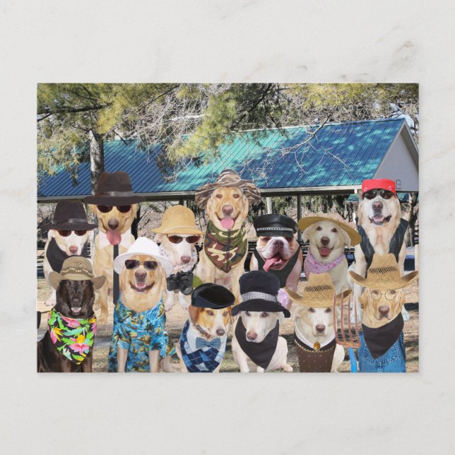 Funny Family Reunion Invitation Postcard (Front)