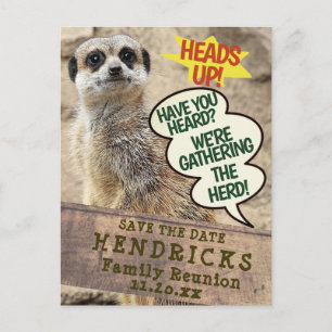 Funny Family Reunion Invitation Postcard