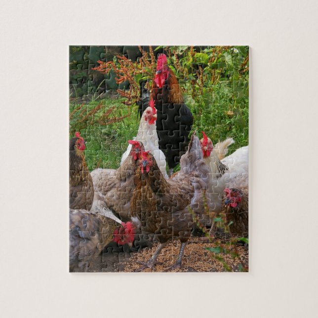 Funny Farmyard Chickens & Rooster Jigsaw Puzzle (Vertical)