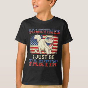 Funny farting cat american flag retro 4th of july T-Shirt