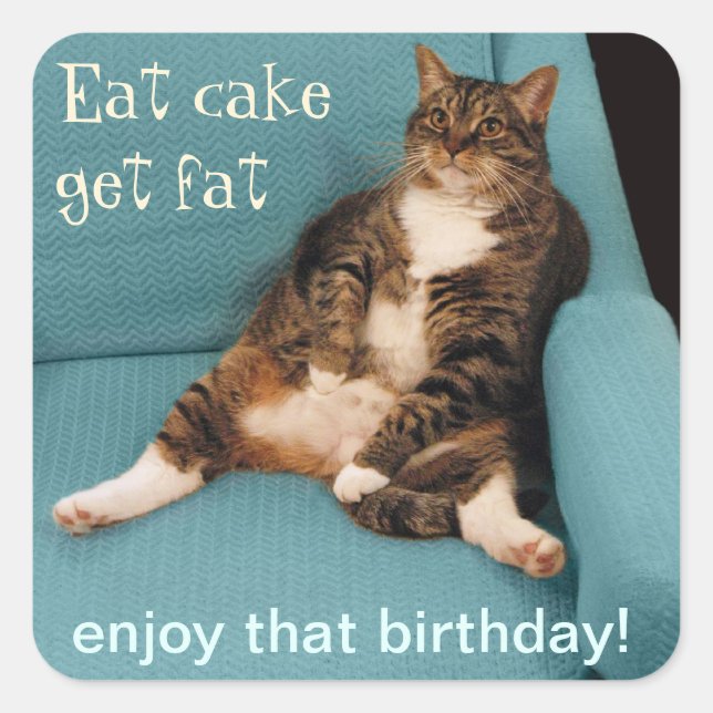 Funny Fat Tabby Cat Eat Cake Get Fat Square Sticker (Front)