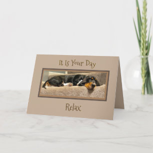 Funny "Father's Day" Card W/Basset Hound Puppy