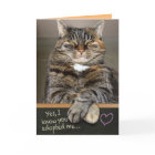 Funny Father's Day From The Cat - I Own You