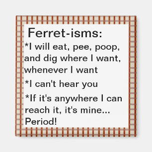 Funny Ferret-ism Quotes Magnet