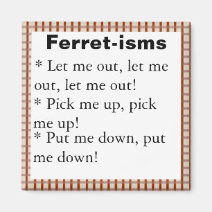 Funny Ferret-ism Quotes Magnet