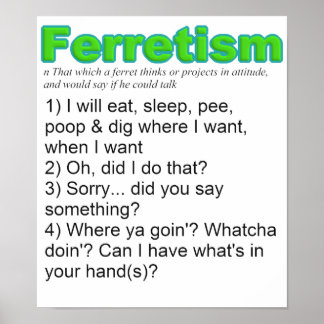 Funny Ferrets Poster