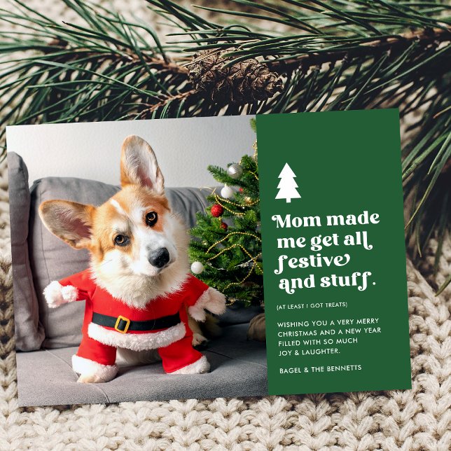 Funny Festive Pet Photo Christmas Holiday Card (Creator Uploaded)