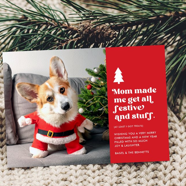 Funny Festive Pet Photo Christmas Holiday Card (Creator Uploaded)