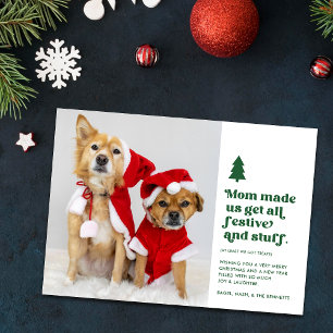 Funny Festive Plural Pets Photo Christmas   White Holiday Card