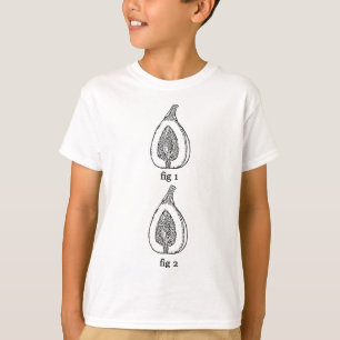 Funny Fig Fruit Fig 1 Fig 2 T-Shirt