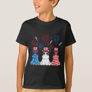 Funny Fireworks Hip American USA Flag 4th of July T-Shirt