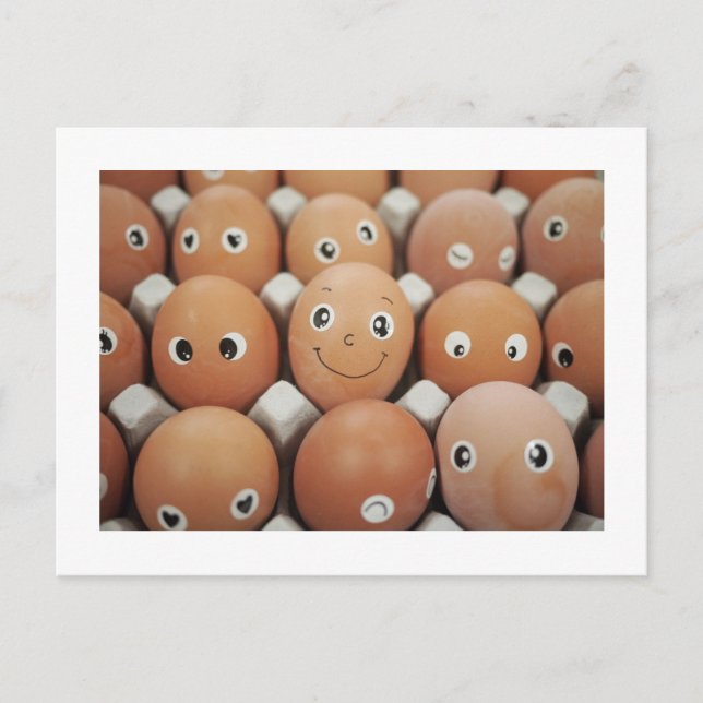 Funny Food Kitchen Humour Postcard (Front)