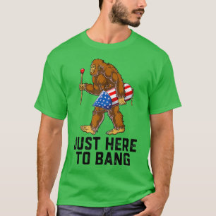 Funny Fourth of July 4th of July I'm Just Here To T-Shirt