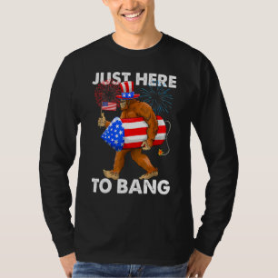 funny fourth of july 4th of july i'm just here to  T-Shirt