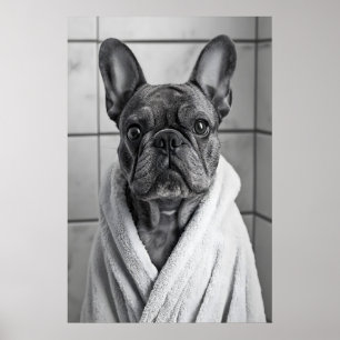 Funny French Bulldog Bathrobe Print, Quirky Poster
