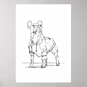 Funny French Bulldog–  Ink Drawing Poster