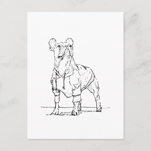 Funny French Bulldog–  Thinking Of You Postcard (Front)