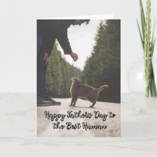 Funny From the Cat Fathers Day Card