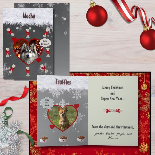 Funny "From the Dogs" Dog Lover Christmas Card (Funny "Merry Christmas from the dogs and their humans" dog lovers cards with your photos and message)