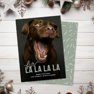 Funny Fur La La Pet Holiday Christmas Cards