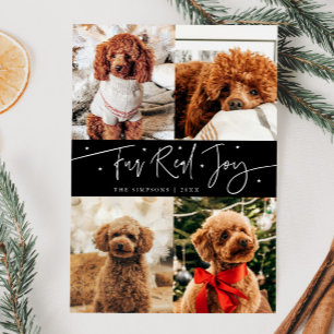 Funny Fur Real Joy Dog Photo Black Christmas Holiday Card