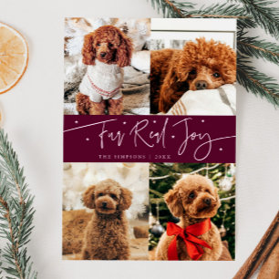 Funny Fur Real Joy Dog Photo Cranberry Christmas  Holiday Card