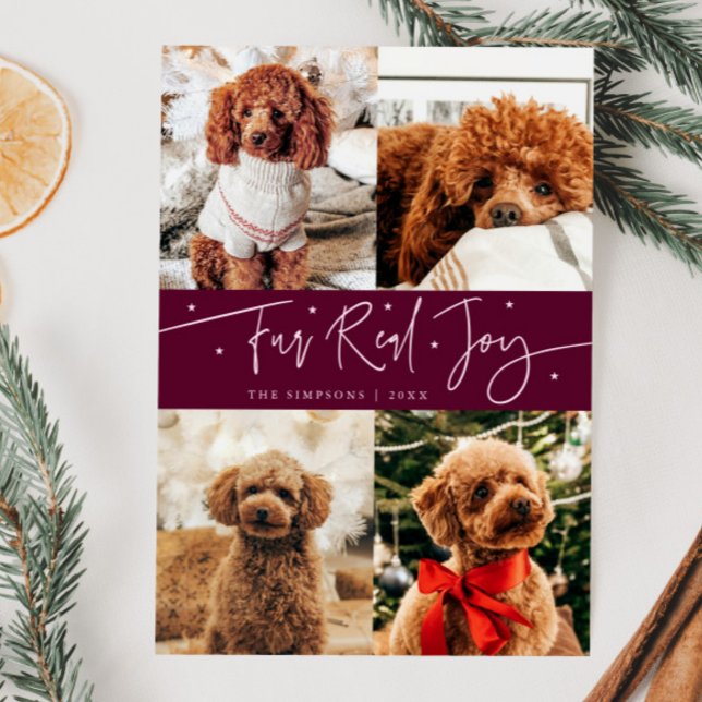 Funny Fur Real Joy Dog Photo Cranberry Christmas  Holiday Card (Creator Uploaded)