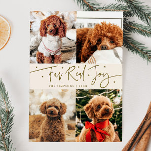 Funny Fur Real Joy Dog Photo Cream Christmas Holiday Card