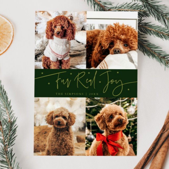 Funny Fur Real Joy Dog Photo Green Christmas  Holiday Card (Creator Uploaded)