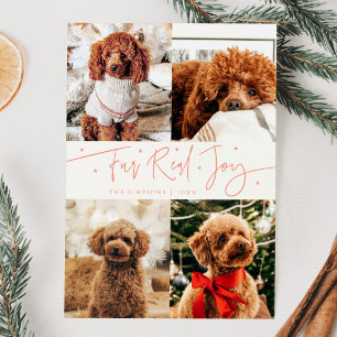 Funny Fur Real Joy Dog Photo Peach Christmas  Holiday Card