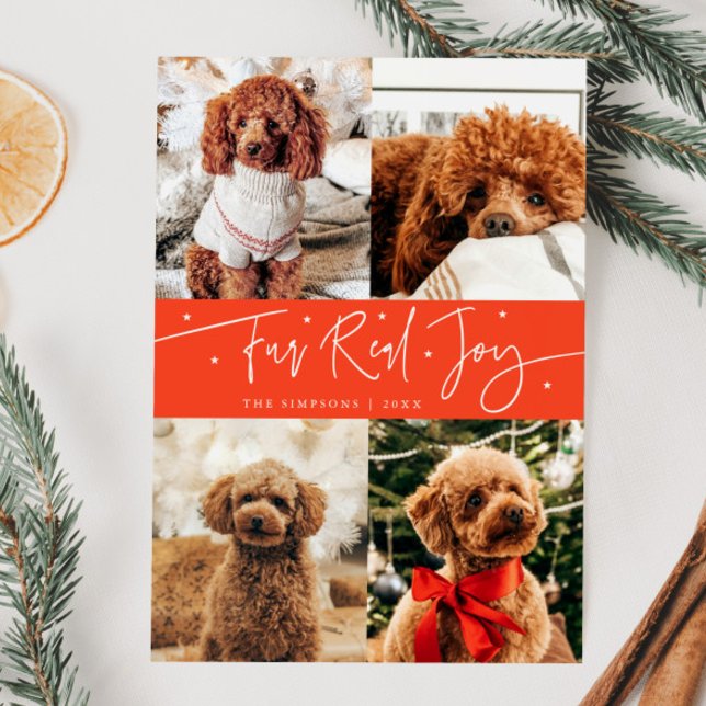 Funny Fur Real Joy Dog Photo Red Christmas  Holiday Card (Creator Uploaded)