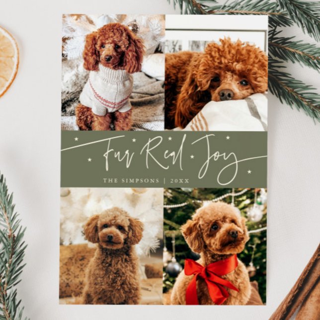 Funny Fur Real Joy Dog Photo Sage Green Christmas  Holiday Card (Creator Uploaded)