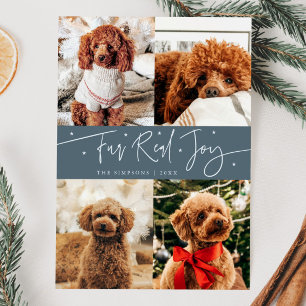 Funny Fur Real Joy Dog Photo Slate Blue Christmas  Holiday Card