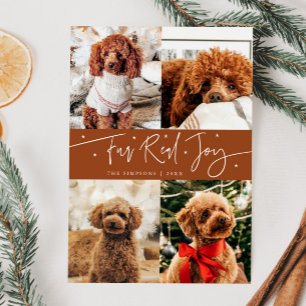 Funny Fur Real Joy Dog Photo Terracotta Christmas  Holiday Card