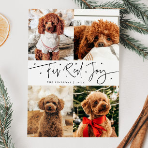 Funny Fur Real Joy Dog Photo White Christmas  Holiday Card
