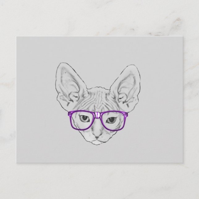 Funny Geeky Nerdy Sphynx with Taped Glasses Postcard (Front)