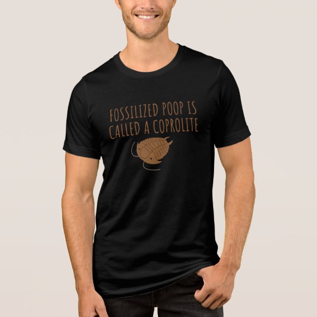 Funny geology teacher  Tri-Blend shirt (Front)