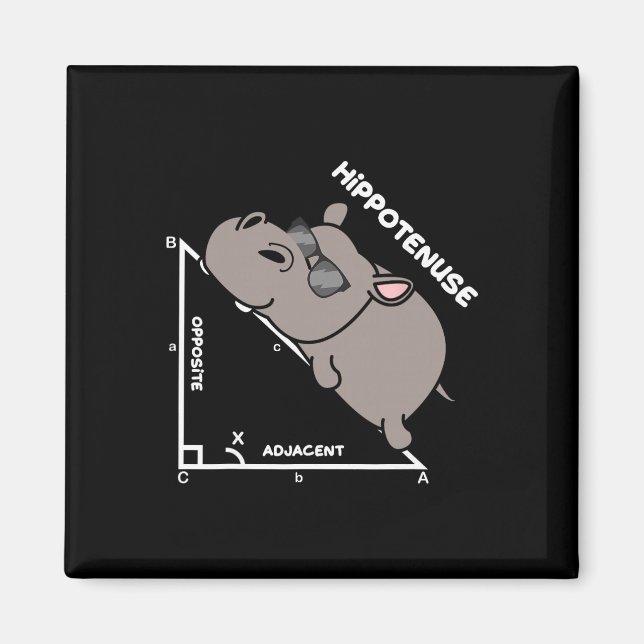 Funny Geometry Hypotenuse Math Mathematics Teacher Magnet (Front)