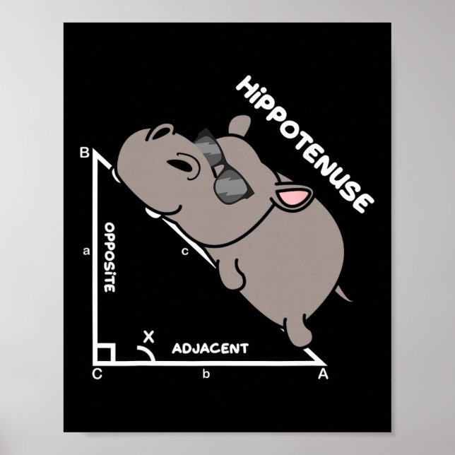 Funny Geometry Hypotenuse Math Mathematics Teacher Poster (Front)