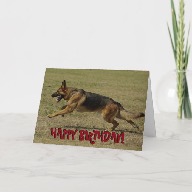 Funny German Shepherd birthday card (Front)