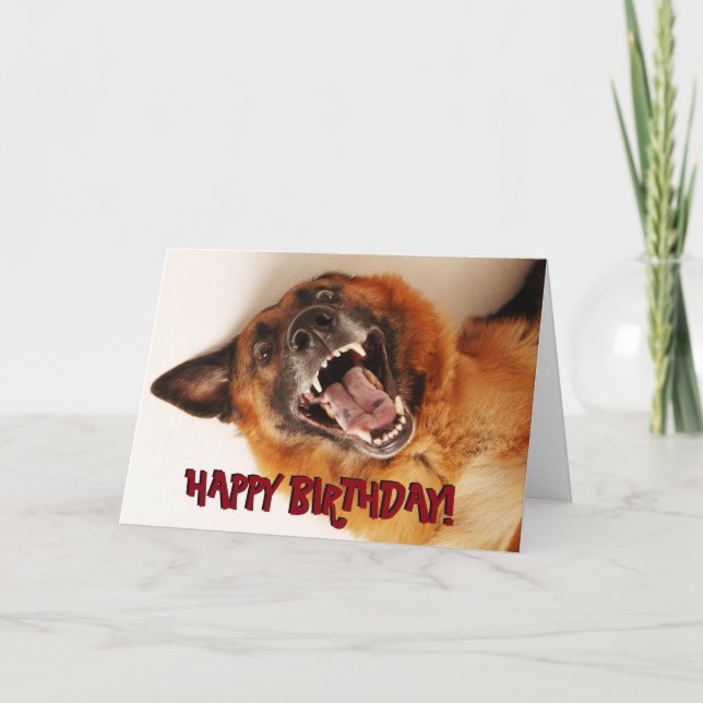 Funny German Shepherd birthday card (Front)